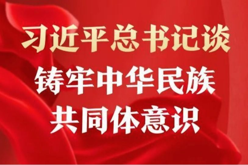 必赢76net线路官网